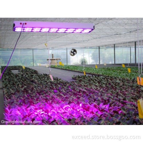 Led light 650mA Apollo18 LED Grow Light